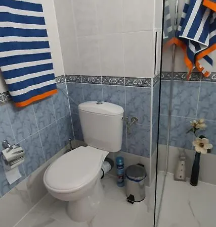Alex Apartament *