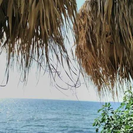 Alex Apartament