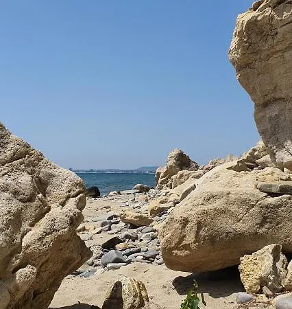 Alex 스베티 블라스