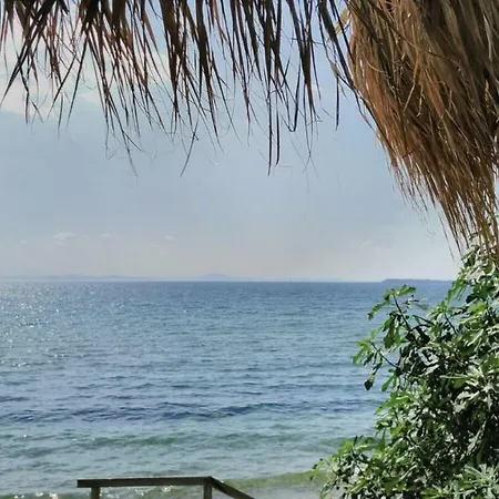 Alex * Sveti Vlas