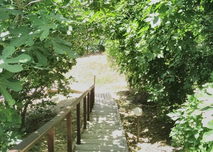 Alex アパート スヴェティ・ヴラス