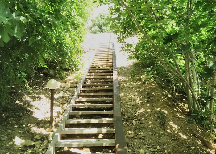 Alex * スヴェティ・ヴラス